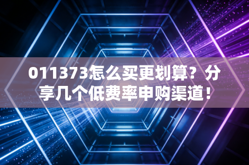 011373怎么买更划算？分享几个低费率申购渠道！