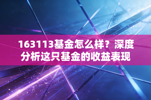 163113基金怎么样？深度分析这只基金的收益表现