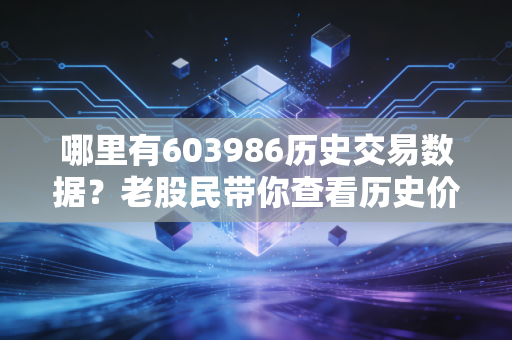 哪里有603986历史交易数据？老股民带你查看历史价格！