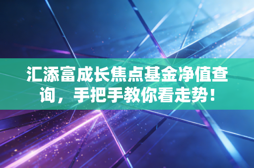 汇添富成长焦点基金净值查询，手把手教你看走势！