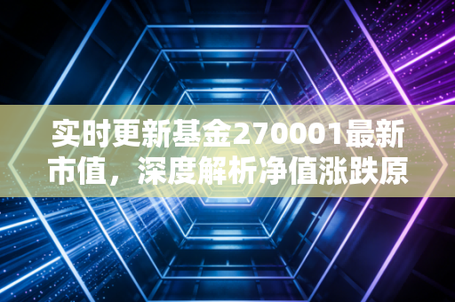 实时更新基金270001最新市值，深度解析净值涨跌原因！