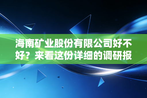 海南矿业股份有限公司好不好?来看这份详细的调研报告!