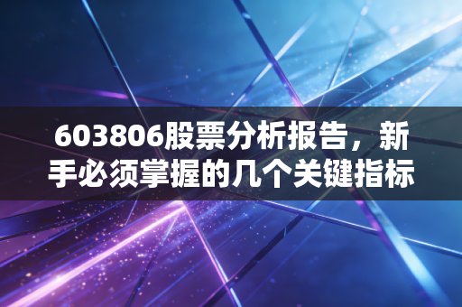 603806股票分析报告，新手必须掌握的几个关键指标