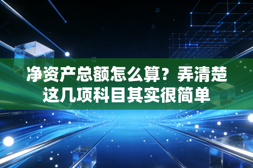 净资产总额怎么算?弄清楚这几项科目其实很简单