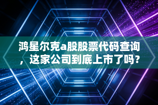 鸿星尔克a股股票代码查询,这家公司到底上市了吗?