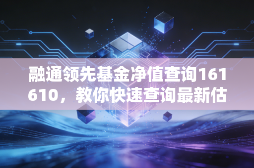 融通领先基金净值查询161610，教你快速查询最新估值！