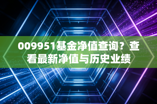 009951基金净值查询？查看最新净值与历史业绩