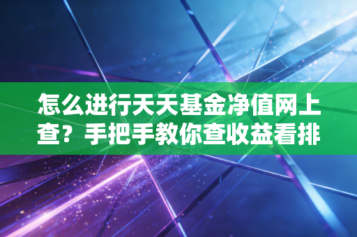 怎么进行天天基金净值网上查?手把手教你查收益看排名