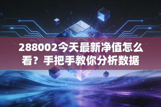 288002今天最新净值怎么看？手把手教你分析数据