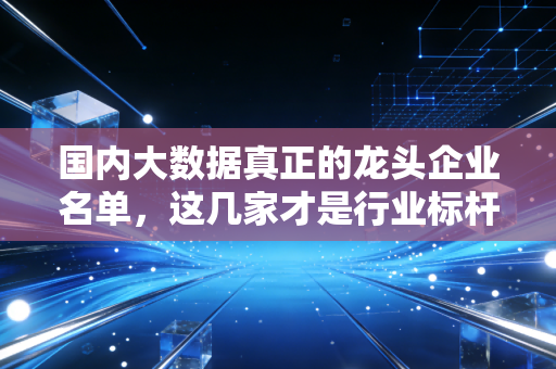 国内大数据真正的龙头企业名单，这几家才是行业标杆！