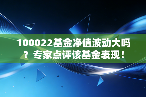 100022基金净值波动大吗?专家点评该基金表现!