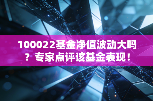 100022基金净值波动大吗?专家点评该基金表现!