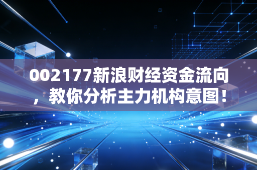 002177新浪财经资金流向，教你分析主力机构意图！