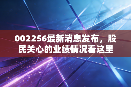002256最新消息发布，股民关心的业绩情况看这里