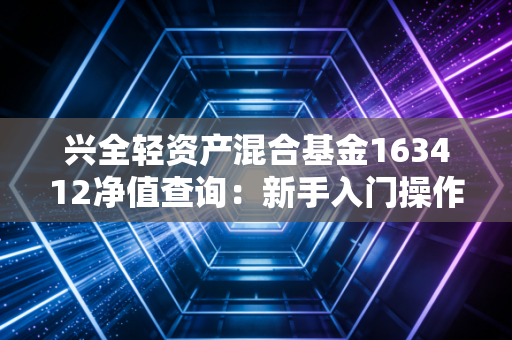 兴全轻资产混合基金163412净值查询：新手入门操作指南
