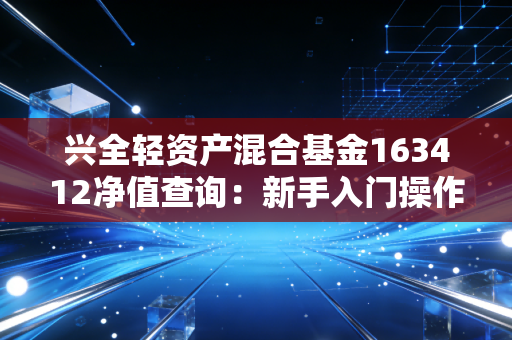 兴全轻资产混合基金163412净值查询：新手入门操作指南