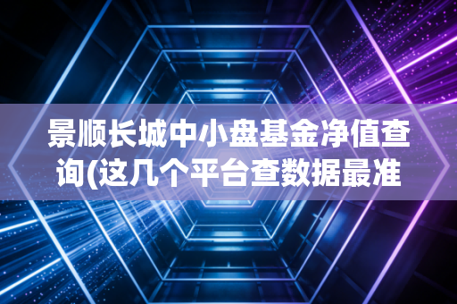 景顺长城中小盘基金净值查询(这几个平台查数据最准)