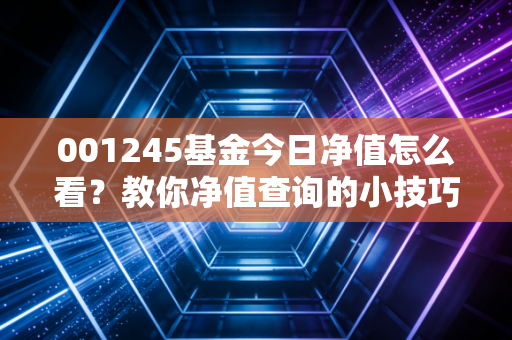 001245基金今日净值怎么看？教你净值查询的小技巧