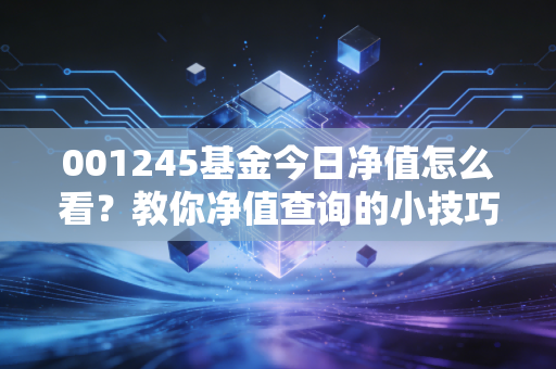 001245基金今日净值怎么看？教你净值查询的小技巧