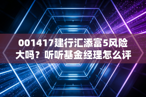 001417建行汇添富5风险大吗？听听基金经理怎么评价！