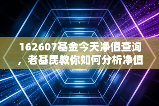 162607基金今天净值查询，老基民教你如何分析净值变动