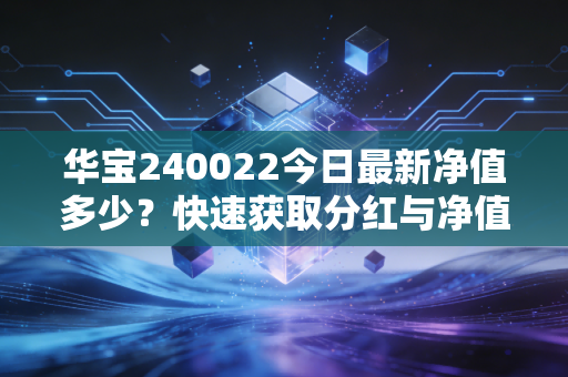 华宝240022今日最新净值多少？快速获取分红与净值变动！