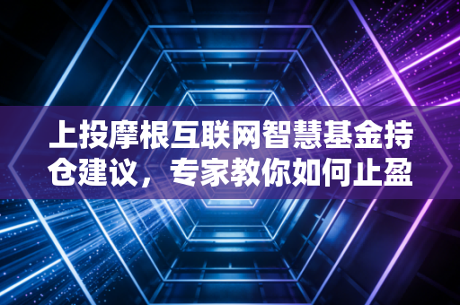 上投摩根互联网智慧基金持仓建议，专家教你如何止盈