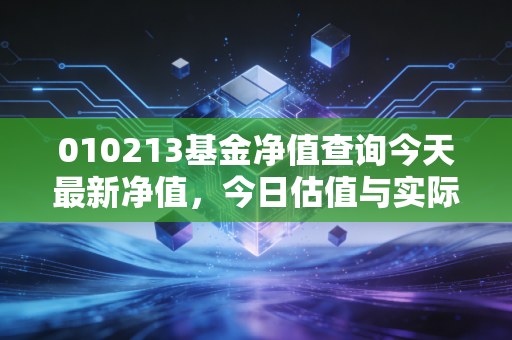 010213基金净值查询今天最新净值，今日估值与实际净值对比