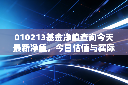 010213基金净值查询今天最新净值，今日估值与实际净值对比
