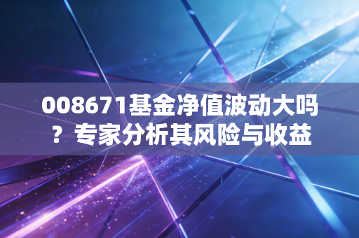 008671基金净值波动大吗？专家分析其风险与收益