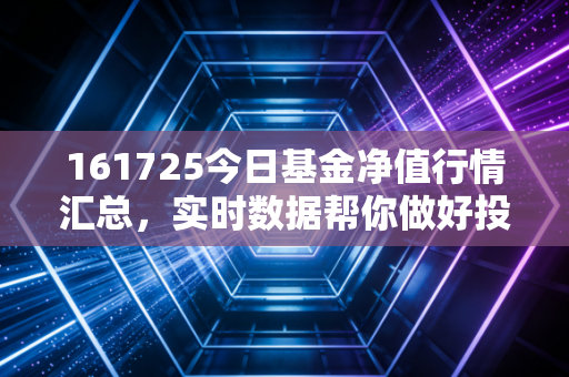161725今日基金净值行情汇总,实时数据帮你做好投资决策!