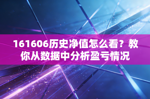 161606历史净值怎么看?教你从数据中分析盈亏情况