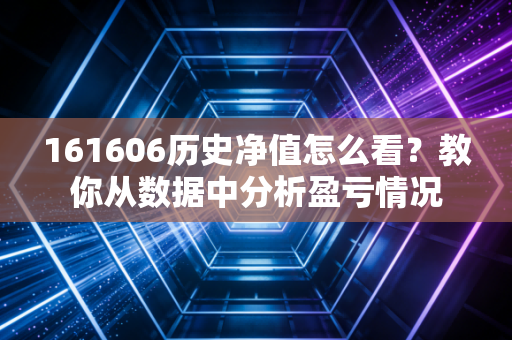 161606历史净值怎么看?教你从数据中分析盈亏情况