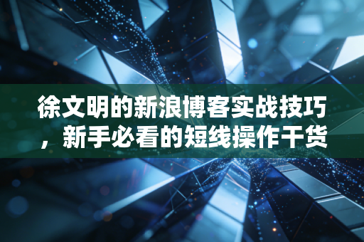 徐文明的新浪博客实战技巧,新手必看的短线操作干货分享!