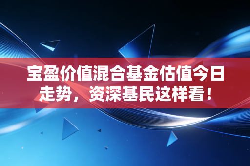 宝盈价值混合基金估值今日走势,资深基民这样看!