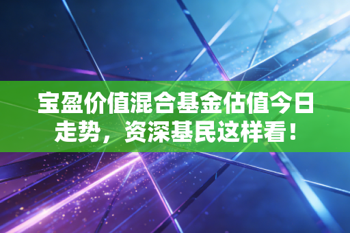 宝盈价值混合基金估值今日走势,资深基民这样看!