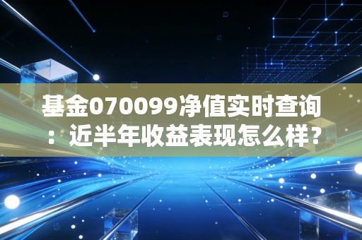 基金070099净值实时查询:近半年收益表现怎么样?