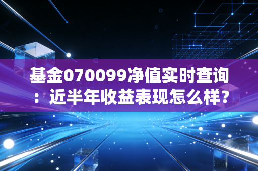 基金070099净值实时查询:近半年收益表现怎么样?
