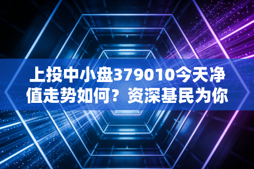 上投中小盘379010今天净值走势如何？资深基民为你点评！