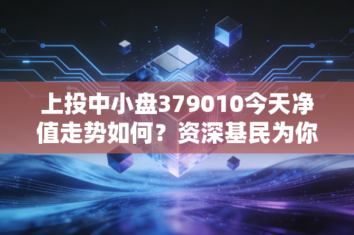 上投中小盘379010今天净值走势如何？资深基民为你点评！