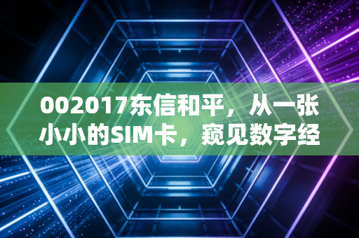 002017东信和平,从一张小小的SIM卡,窥见数字经济的宏大未来