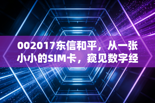 002017东信和平,从一张小小的SIM卡,窥见数字经济的宏大未来