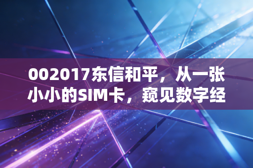 002017东信和平,从一张小小的SIM卡,窥见数字经济的宏大未来
