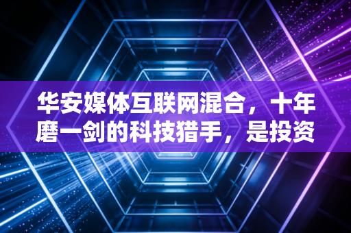 华安媒体互联网混合，十年磨一剑的科技猎手，是投资良机还是波动陷阱？