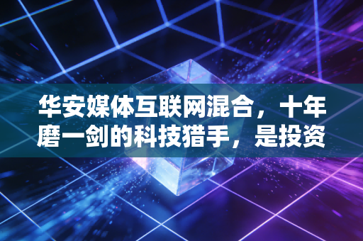 华安媒体互联网混合，十年磨一剑的科技猎手，是投资良机还是波动陷阱？