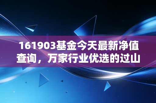 161903基金今天最新净值查询，万家行业优选的过山车，我们该下车还是系好安全带？