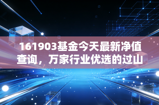 161903基金今天最新净值查询，万家行业优选的过山车，我们该下车还是系好安全带？