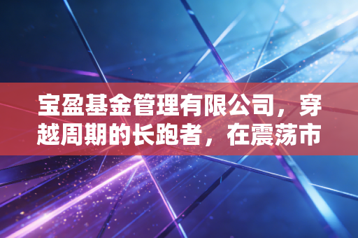 宝盈基金管理有限公司,穿越周期的长跑者,在震荡市中如何守住投资者的钱袋子?