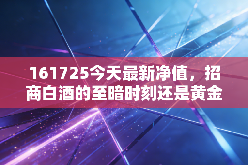 161725今天最新净值，招商白酒的至暗时刻还是黄金坑？深度复盘与基民生存实录