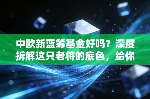 中欧新蓝筹基金好吗？深度拆解这只老将的底色，给你的投资路做个参照